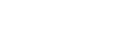 ANNORS D VENTURES